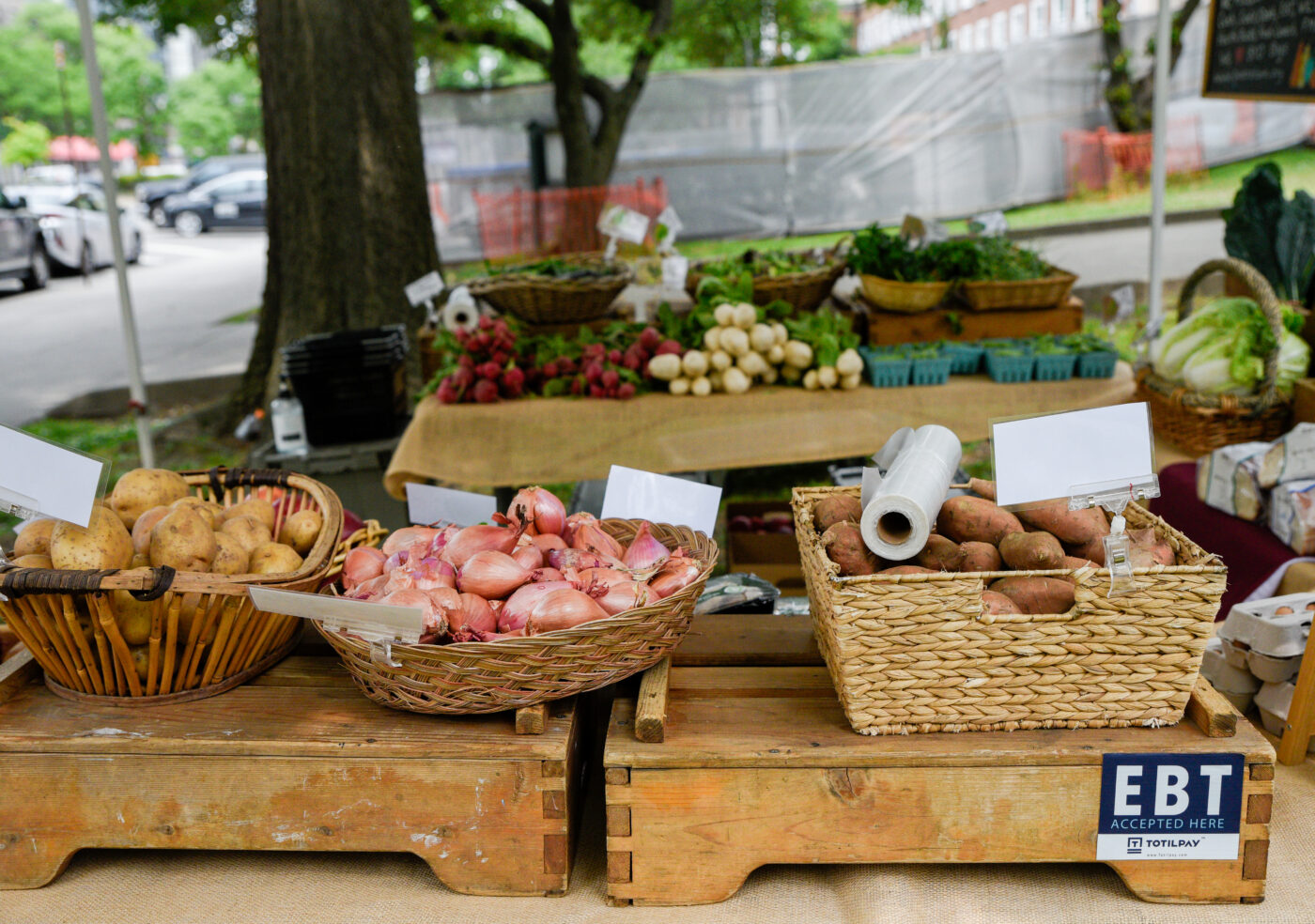Borough Hall Farmstand Returns With Locally Grown Produce Queens Ledger