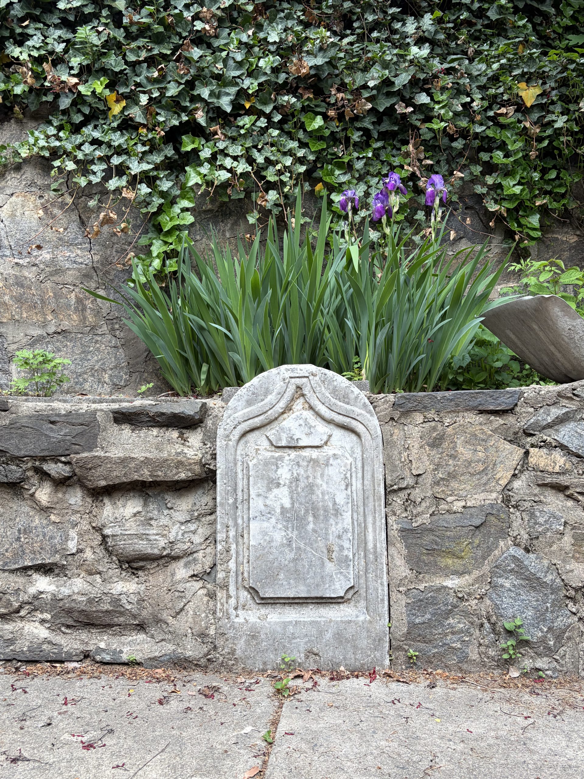 The Mystery Grave of 30th Drive